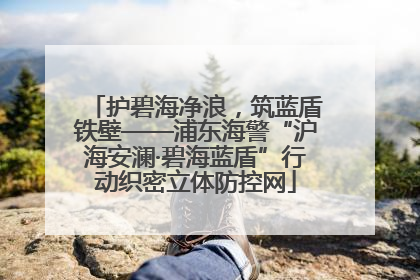 护碧海净浪，筑蓝盾铁壁——浦东海警“沪海安澜·碧海蓝盾”行动织密立体防控网