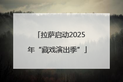 拉萨启动2025年“藏戏演出季”
