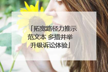 拓宽路径力推示范文本 多措并举升级诉讼体验