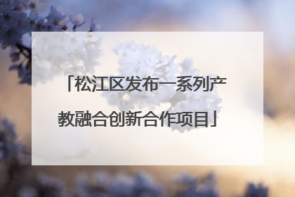 松江区发布一系列产教融合创新合作项目