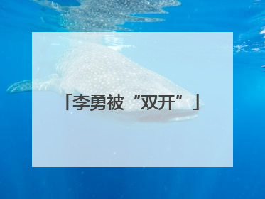 李勇被“双开”