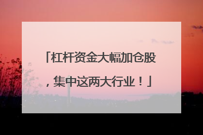 杠杆资金大幅加仓股，集中这两大行业！
