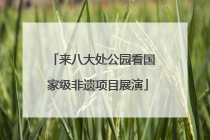 来八大处公园看国家级非遗项目展演
