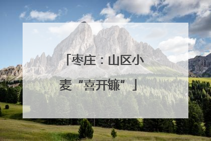 枣庄：山区小麦“喜开镰”