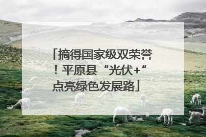摘得国家级双荣誉！平原县“光伏+”点亮绿色发展路