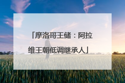 摩洛哥王储：阿拉维王朝低调继承人