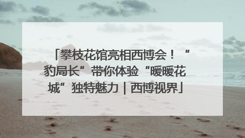 攀枝花馆亮相西博会！“豹局长”带你体验“暖暖花城”独特魅力｜西博视界