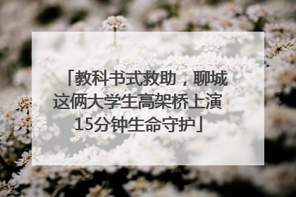 教科书式救助，聊城这俩大学生高架桥上演15分钟生命守护