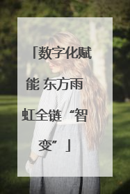 数字化赋能 东方雨虹全链“智变”