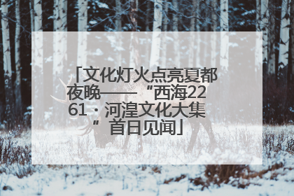 文化灯火点亮夏都夜晚——“西海2261・河湟文化大集”首日见闻