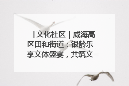 文化社区｜威海高区田和街道：银龄乐享文体盛宴，共筑文化社区幸福共同体