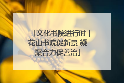 文化书院进行时｜花山书院促新景 凝聚合力促善治