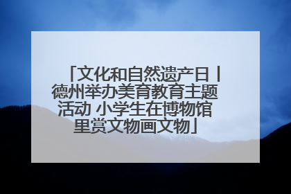 文化和自然遗产日丨德州举办美育教育主题活动 小学生在博物馆里赏文物画文物