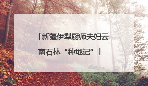 新疆伊犁厨师夫妇云南石林“种地记”