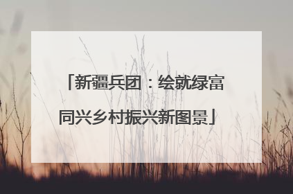 新疆兵团：绘就绿富同兴乡村振兴新图景