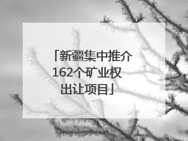 新疆集中推介162个矿业权出让项目