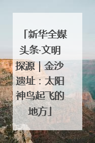 新华全媒头条·文明探源｜金沙遗址：太阳神鸟起飞的地方