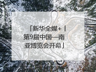 新华全媒+丨第9届中国—南亚博览会开幕