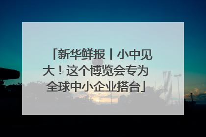 新华鲜报丨小中见大！这个博览会专为全球中小企业搭台
