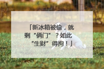 新冰箱被偷，就剩“俩门”？如此“生财”得拘！