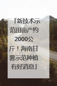 新技术示范田亩产约2000公斤！海南甘薯示范种植有好消息