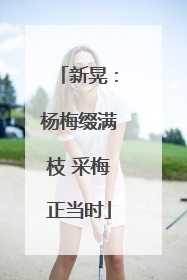 新晃：杨梅缀满枝 采梅正当时