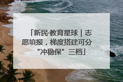 新民·教育星球｜志愿填报，梯度搭建可分“冲稳保”三档