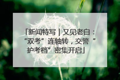 新闻特写｜又见老白：“双考”连轴转，交警“护考档”密集开启