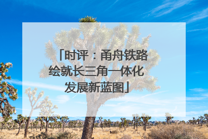 时评：甬舟铁路绘就长三角一体化发展新蓝图