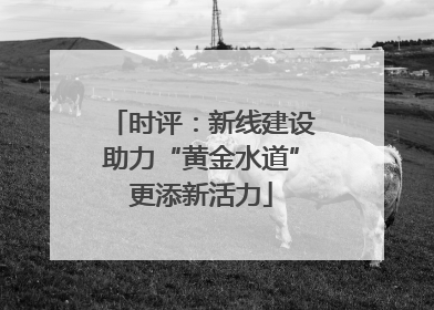 时评：新线建设助力“黄金水道”更添新活力