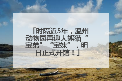 时隔近5年，温州动物园再迎大熊猫“宝弟”“宝妹”，明日正式开馆！
