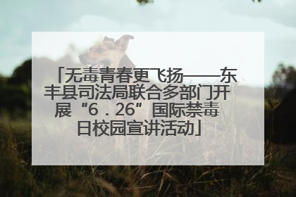 无毒青春更飞扬——东丰县司法局联合多部门开展“6．26”国际禁毒日校园宣讲活动
