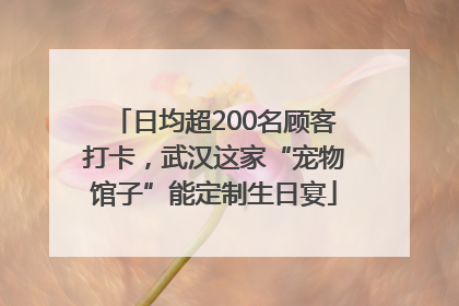 日均超200名顾客打卡，武汉这家“宠物馆子”能定制生日宴