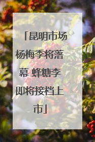 昆明市场杨梅季将落幕 蜂糖李即将接档上市