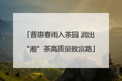 普惠春雨入茶园 润出“湘”茶高质量致富路