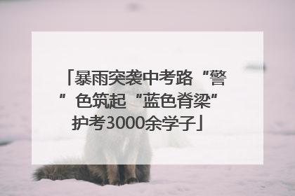 暴雨突袭中考路“警”色筑起“蓝色脊梁”护考3000余学子