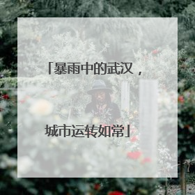 暴雨中的武汉，城市运转如常