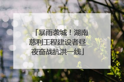 暴雨袭城！湖南慈利工程建设者昼夜奋战抗洪一线