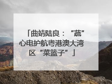曲靖陆良：“蔬”心电护航粤港澳大湾区“菜篮子”