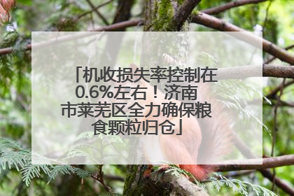 机收损失率控制在0.6%左右！济南市莱芜区全力确保粮食颗粒归仓