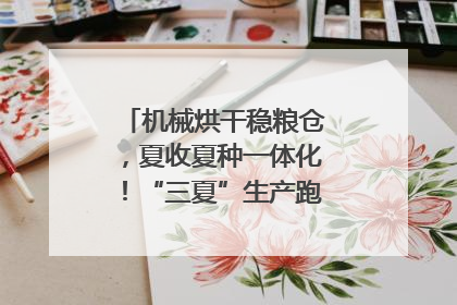 机械烘干稳粮仓，夏收夏种一体化！“三夏”生产跑出加速度｜麦报