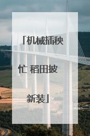 机械插秧忙 稻田披新装