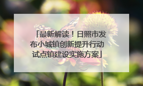最新解读！日照市发布小城镇创新提升行动试点镇建设实施方案