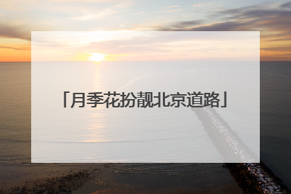 月季花扮靓北京道路