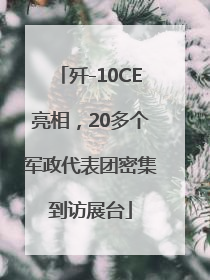 歼-10CE亮相，20多个军政代表团密集到访展台