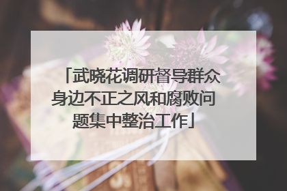 武晓花调研督导群众身边不正之风和腐败问题集中整治工作