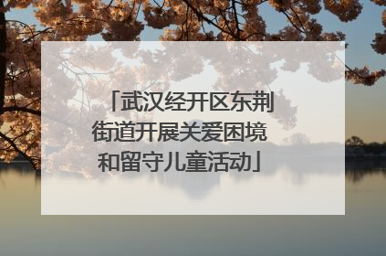 武汉经开区东荆街道开展关爱困境和留守儿童活动