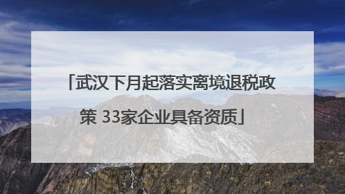 武汉下月起落实离境退税政策 33家企业具备资质
