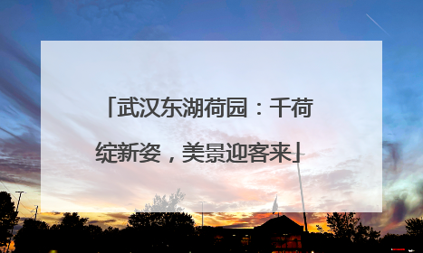 武汉东湖荷园：千荷绽新姿，美景迎客来