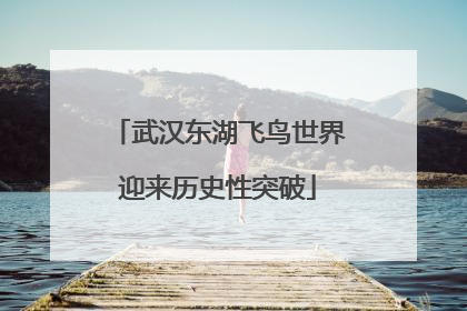 武汉东湖飞鸟世界迎来历史性突破